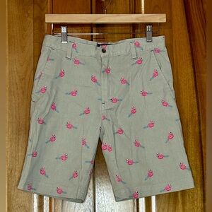DCBD - Pink Flamingo Bermuda Shorts - Boys - XL, 18-20 - EUC